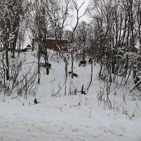 Koselig Naer Bussholdeplass Og Natur. Apartment Tromso