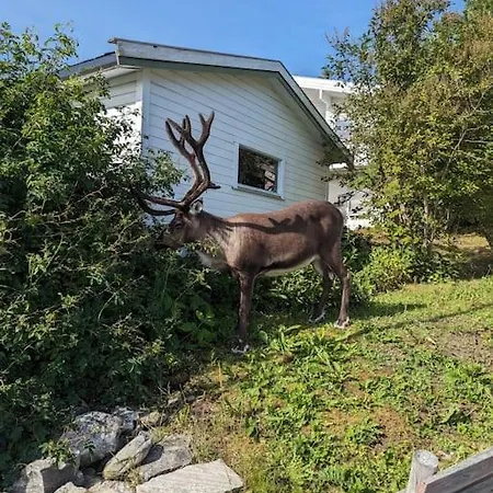 Koselig Naer Bussholdeplass Og Natur.