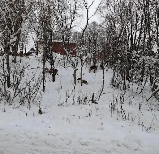 Koselig Naer Bussholdeplass Og Natur. Apartment Tromsø