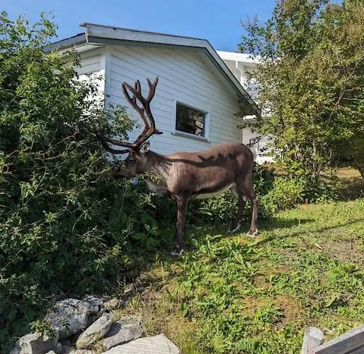 Koselig Naer Bussholdeplass Og Natur.