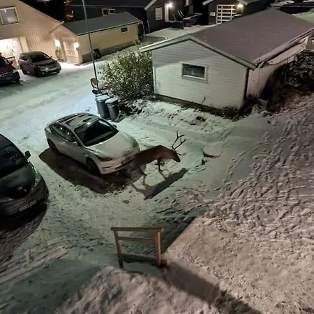 Koselig Naer Bussholdeplass Og Natur. アパート